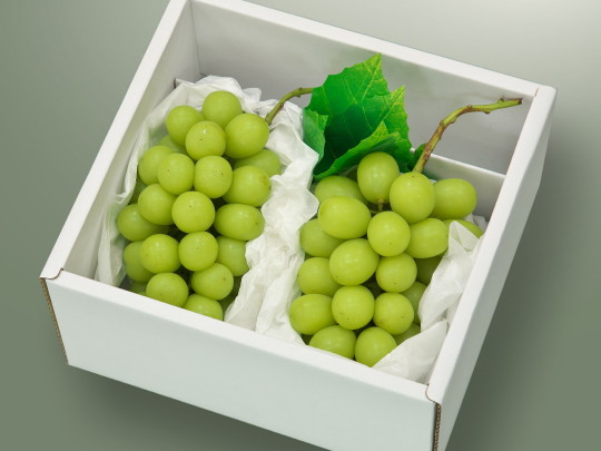 �V���C���}�X�J�b�g2�[