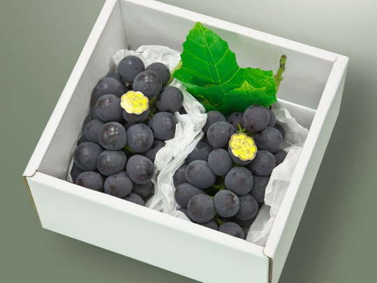 �s�I�[�l2�[��