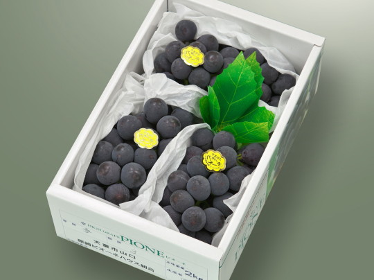 �s�I�[�l3�[��