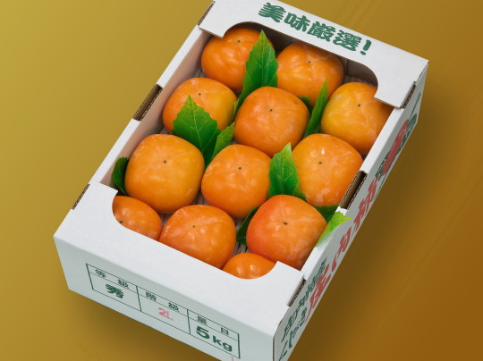 �����`2L�T�C�Y