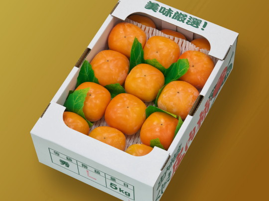 �����`L�T�C�Y