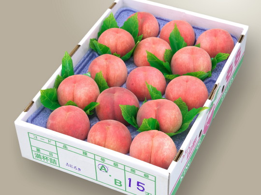 ���i�C���[�W