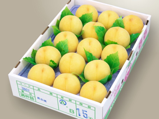 ���i�C���[�W