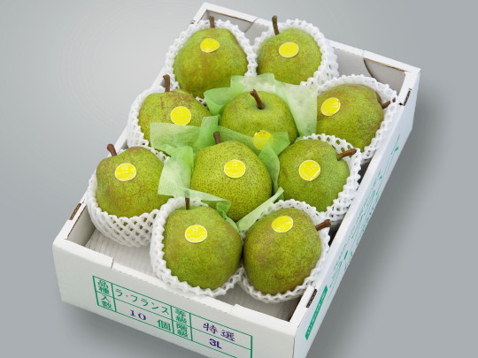 ���t�����X 3L-10��