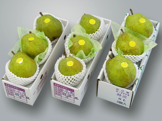 ���t�����X 6L-3��