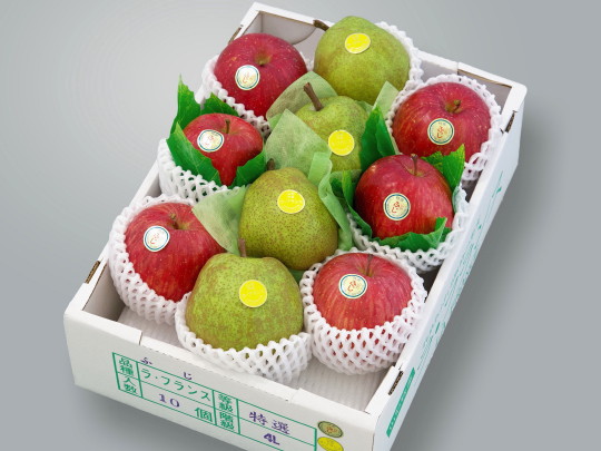 ���t�����X�E�ӂ���� 4L-10��