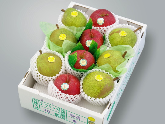 ���t�����X�E�ӂ���� 4L-10��