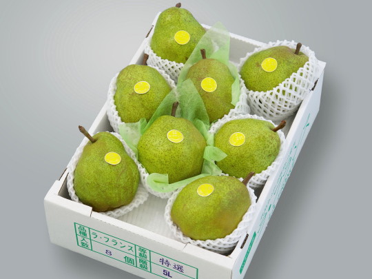 ���t�����X 3L-10��