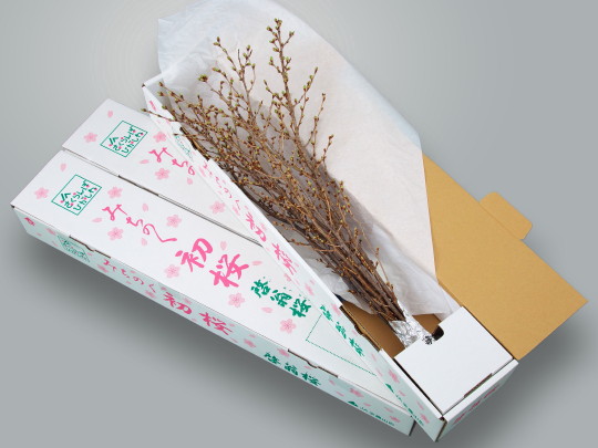 �� �[���� M-8�{