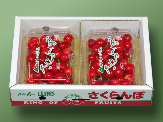 �������� ������ M-700g