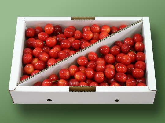 �������� �g�G�� 2L-1kg