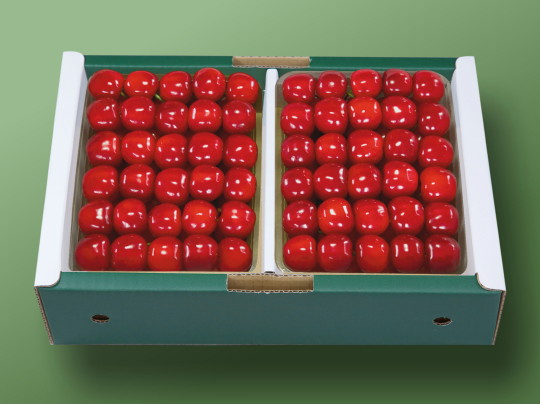 �������� �g�G�� 2L-1kg