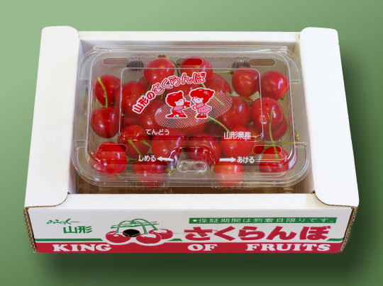 �n�E�X�������ڍ����� 2L-200g