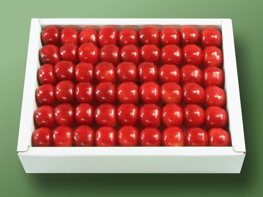 �n�E�X�������ڍ����� L-300g