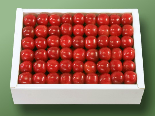 �n�E�X�������ڍ����� L-500g