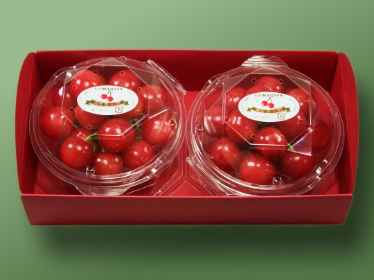 �n�E�X�������ڍ����� L-200g