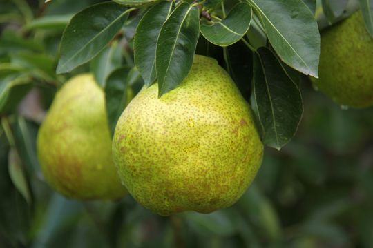 �R�`����R�Y���t�����X